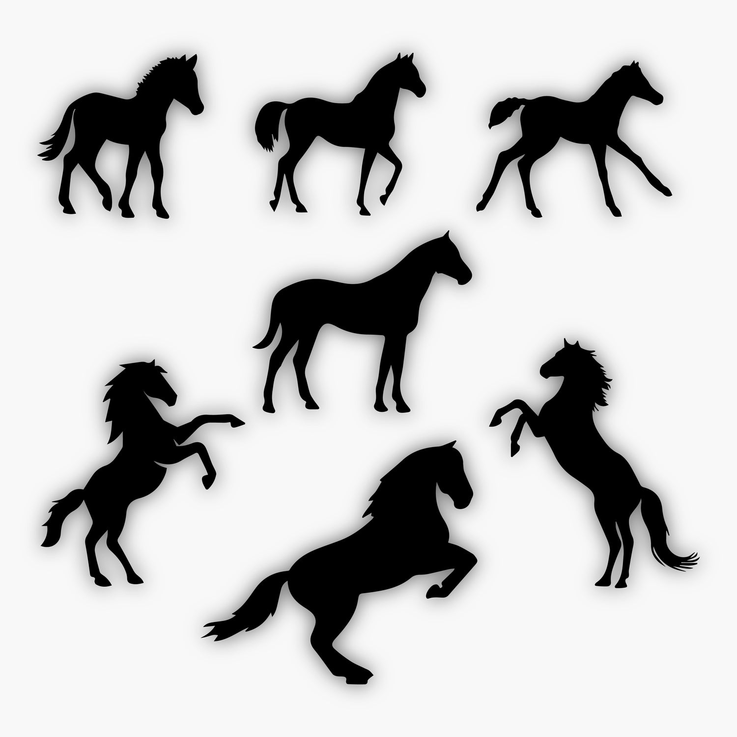 Six black horse silhouettes in different poses, some standing and others rearing or trotting, displayed on a white background as sample design elements.