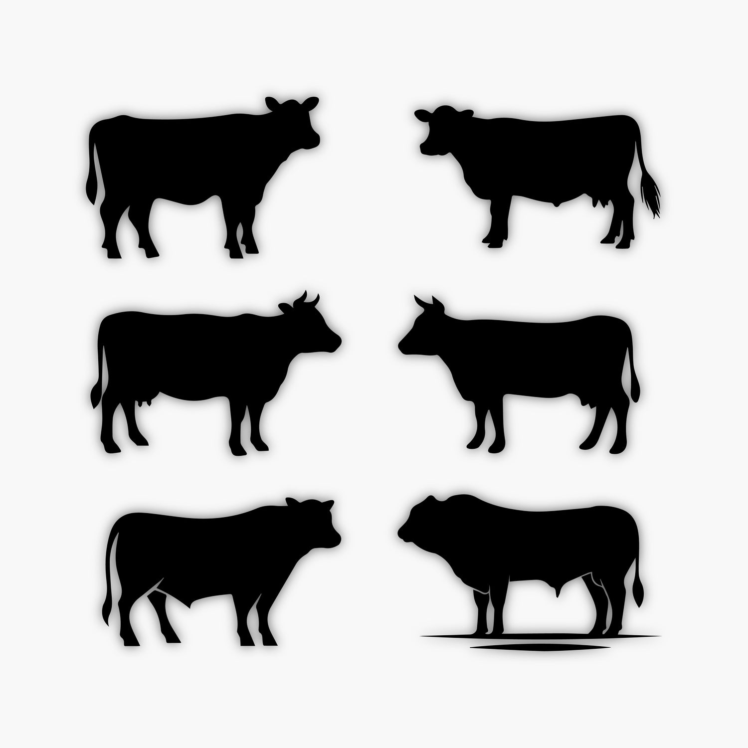 Six black cow silhouettes in various standing poses are displayed on a white background, arranged in two rows of three. Each cow features distinct horn shapes and body outlines, making them ideal sample design elements for creative projects.