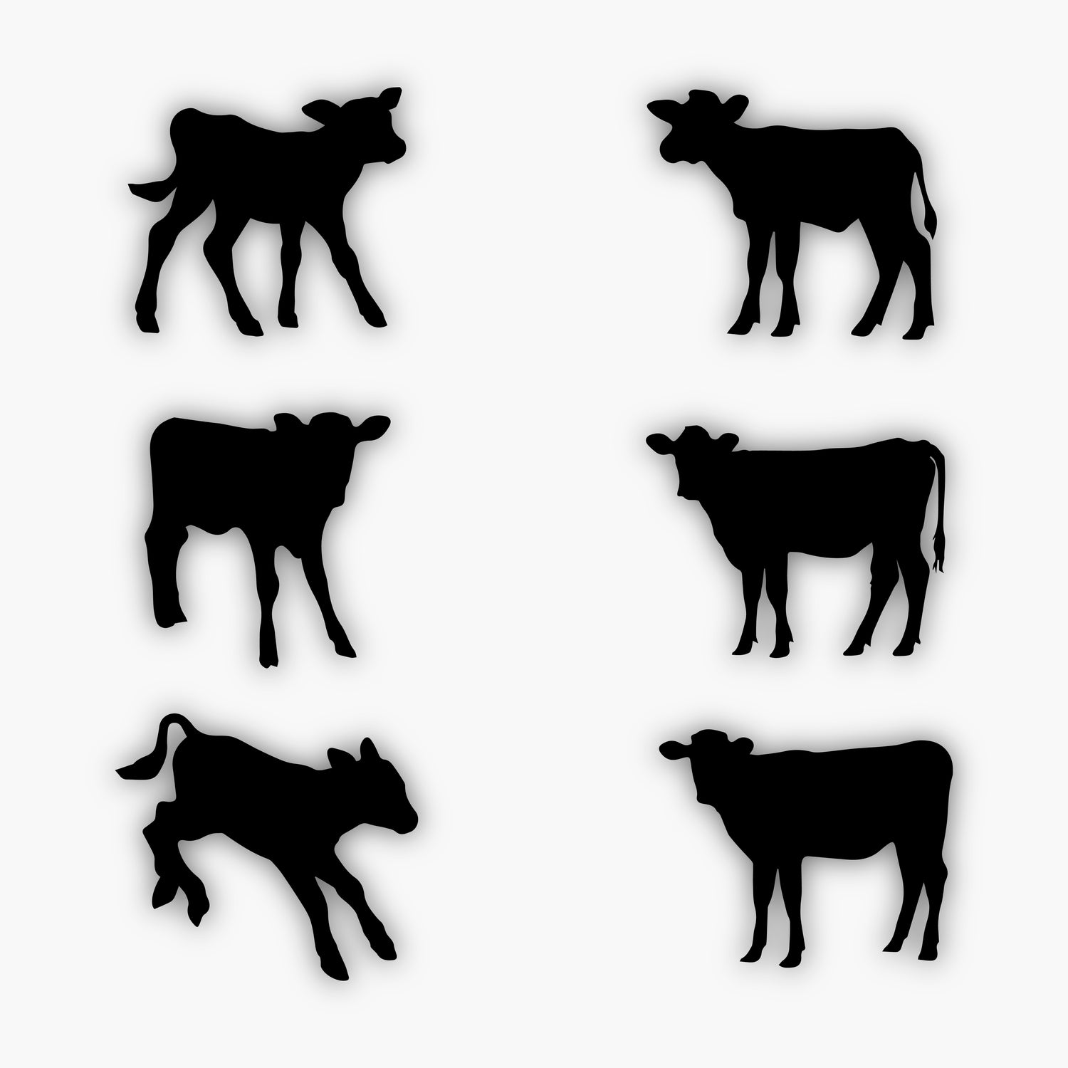 Six black silhouettes of calves in various poses on a white background; some are standing, some are walking, and one is leaping—ideal as sample design elements for creative projects.