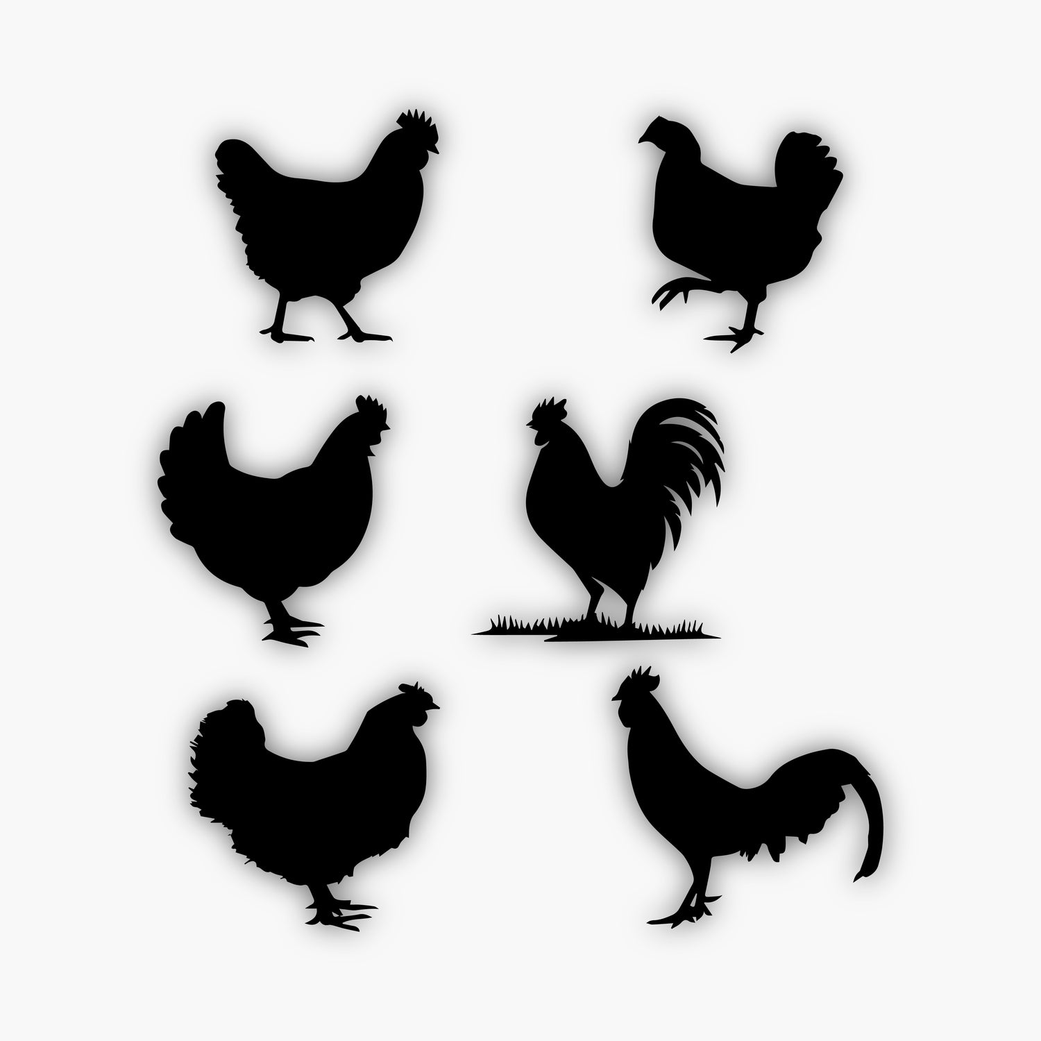 Six black silhouettes of chickens and roosters in various poses on a white background; ideal as sample design elements, with one rooster standing on grass and the others walking or standing on flat ground.
