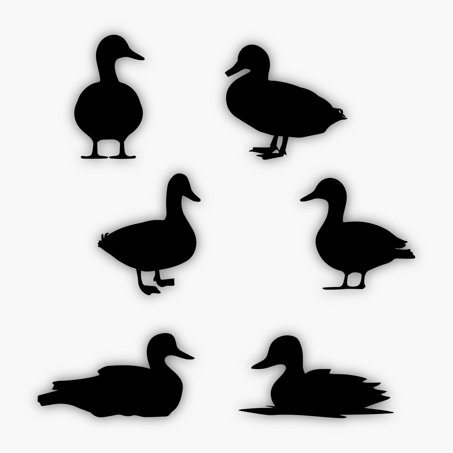 Six black duck silhouettes in various standing and swimming poses are arranged on a white background. These sample design elements feature ducks facing both left and right, with two appearing to float on water.