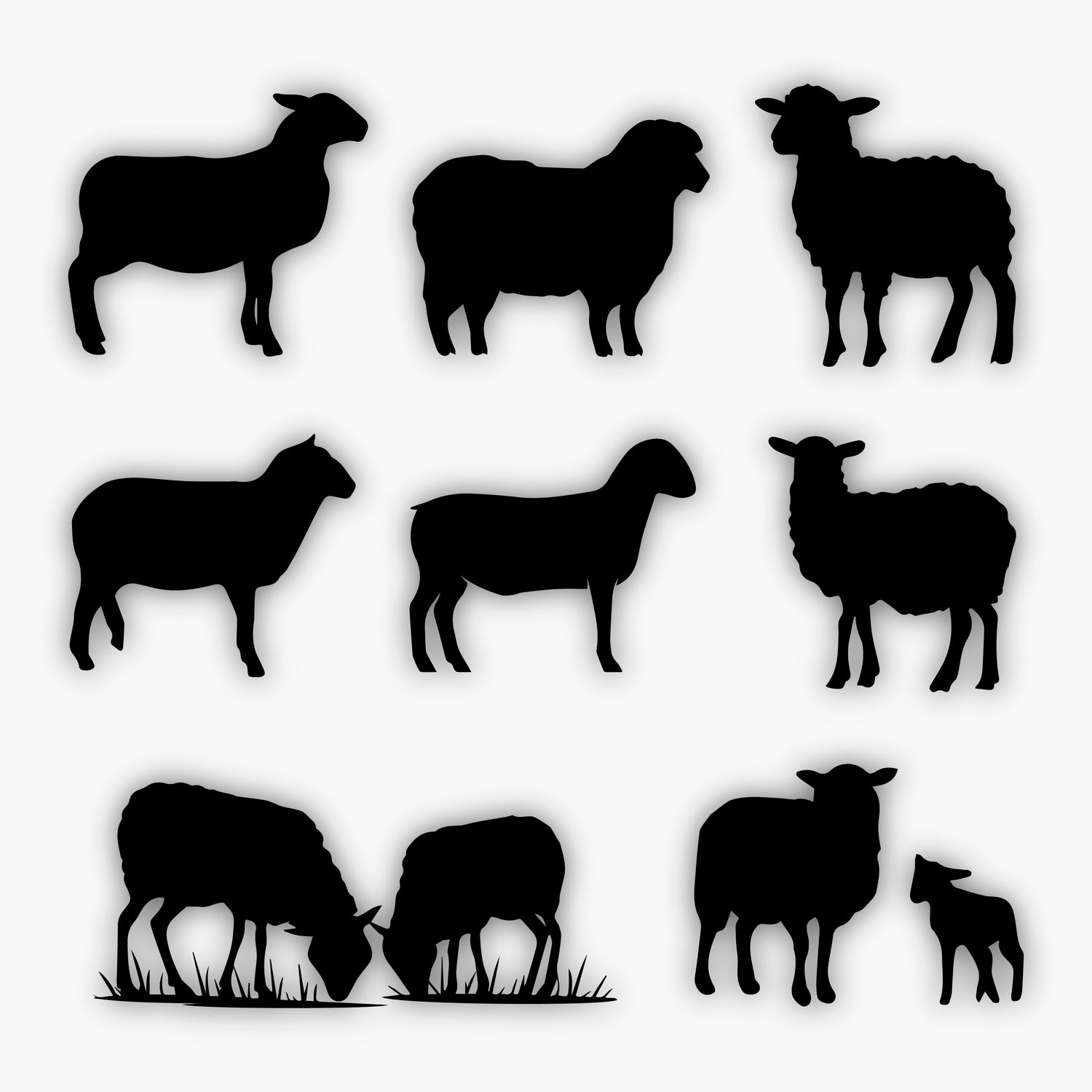 Silhouettes of eight sheep in different poses, including pairs grazing, standing sheep, and one lamb—all in black on a white background—perfect as sample design elements for creative projects.
