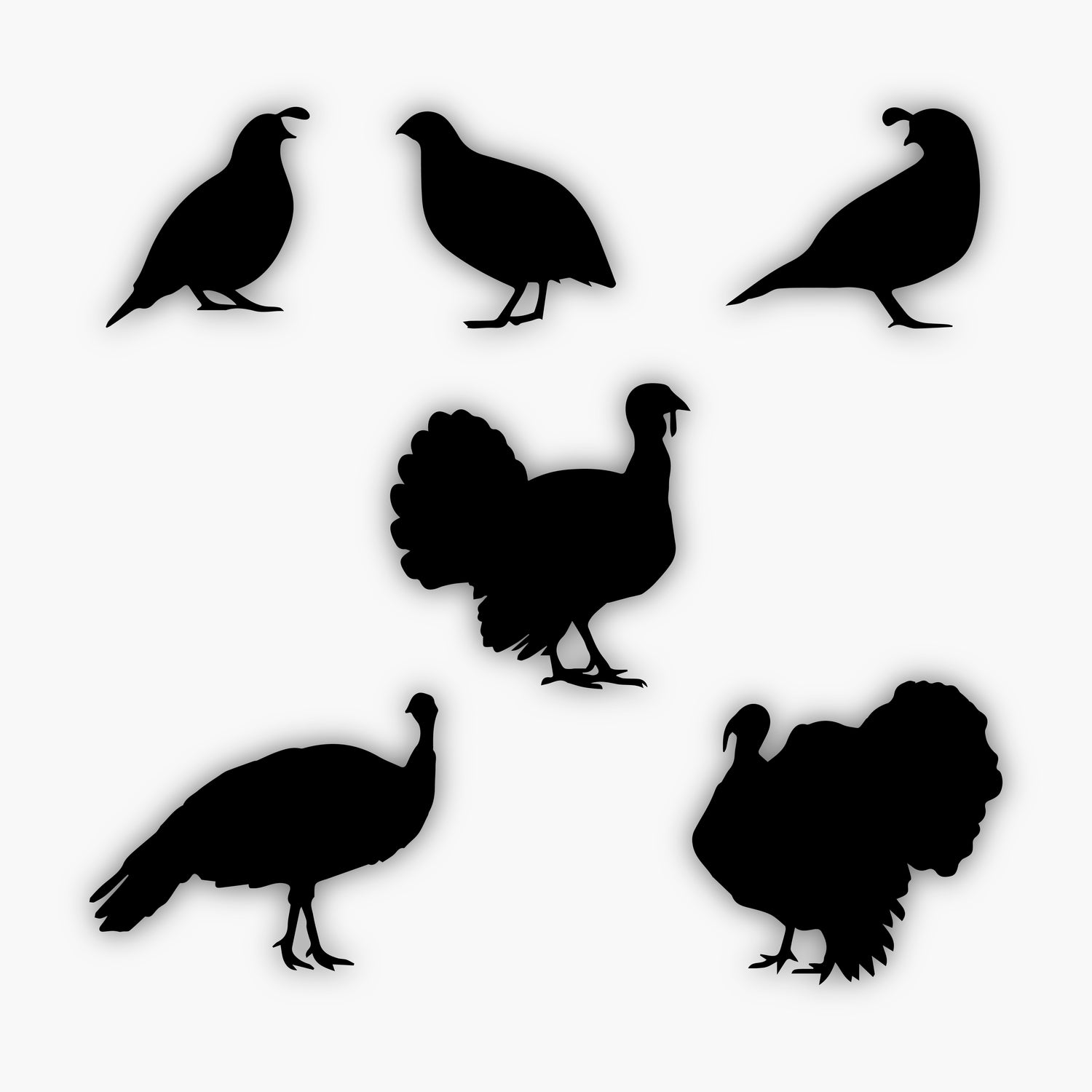 Silhouettes of three quails in different poses on the top row and three turkeys in various stances on the bottom row, all against a white background—perfect sample design elements for your creative projects.