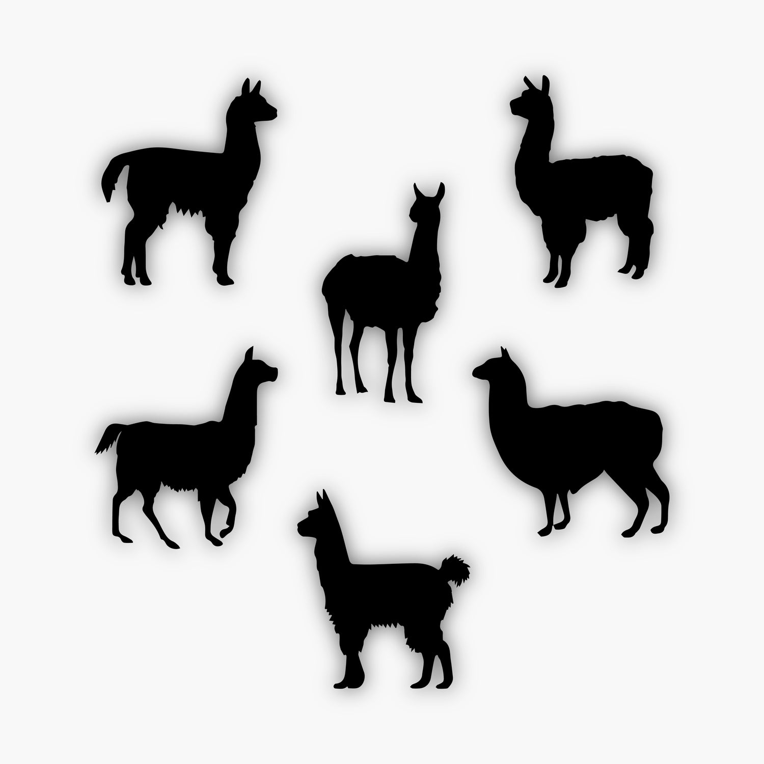 Six black llama silhouettes facing different directions, each with unique fur textures and poses, serve as versatile sample design elements on a plain white background.