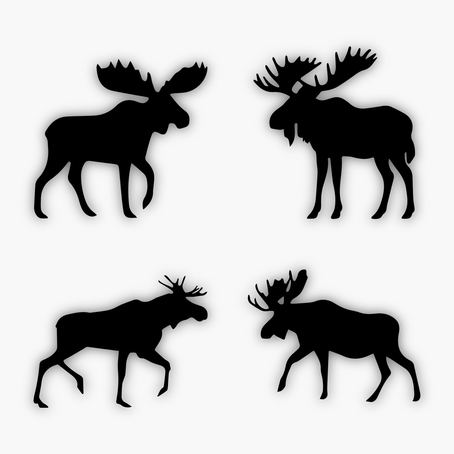 Four silhouettes of moose in different poses and styles are arranged in a two-by-two grid on a white background, serving as unique sample design elements. Each moose features distinctive large antlers and is shown in profile.
