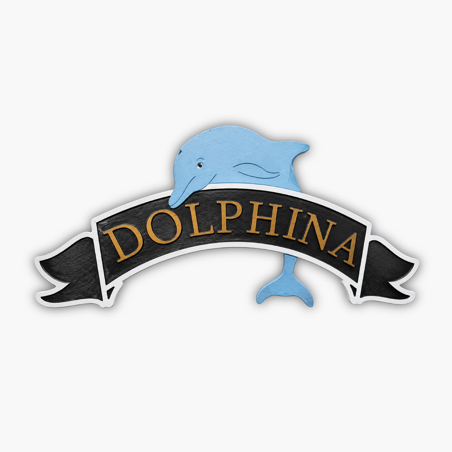 A man holding up a sign that says " dolphin ".